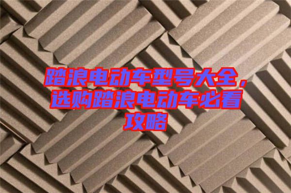踏浪電動車型號大全，選購踏浪電動車必看攻略