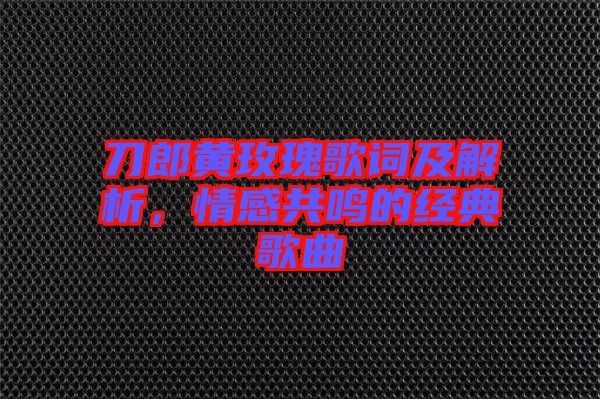 刀郎黃玫瑰歌詞及解析，情感共鳴的經典歌曲