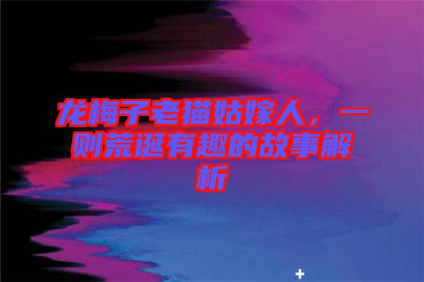龍梅子老貓姑嫁人，一則荒誕有趣的故事解析