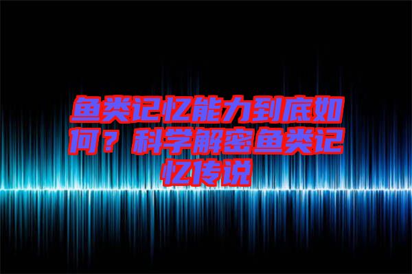 魚類記憶能力到底如何？科學(xué)解密魚類記憶傳說