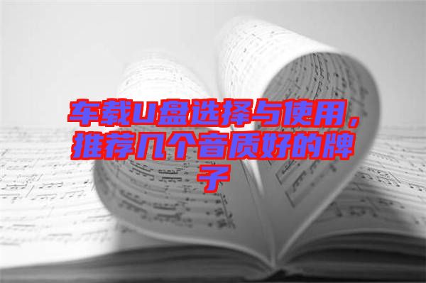 車載U盤選擇與使用，推薦幾個(gè)音質(zhì)好的牌子