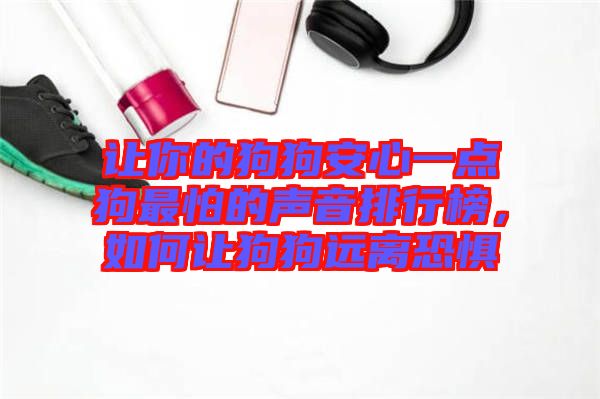 讓你的狗狗安心一點狗最怕的聲音排行榜，如何讓狗狗遠離恐懼
