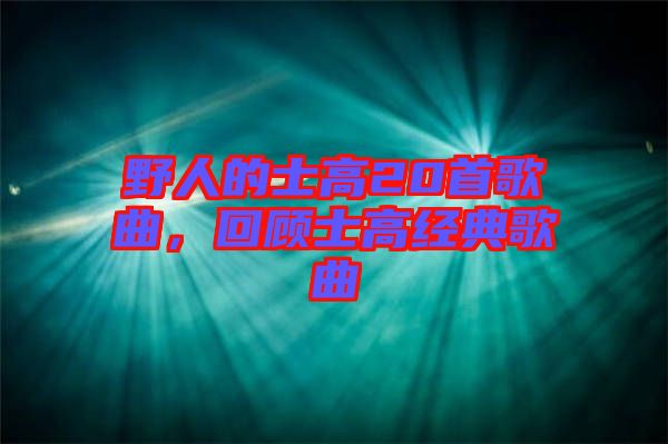 野人的士高20首歌曲，回顧士高經(jīng)典歌曲