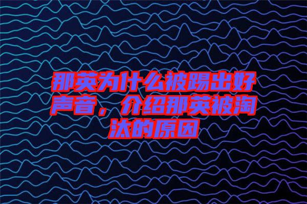 那英為什么被踢出好聲音，介紹那英被淘汰的原因