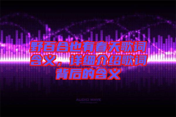 野百合也有春天歌詞含義，詳細(xì)介紹歌詞背后的含義