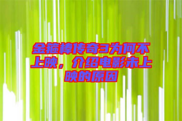金箍棒傳奇3為何不上映，介紹電影未上映的原因